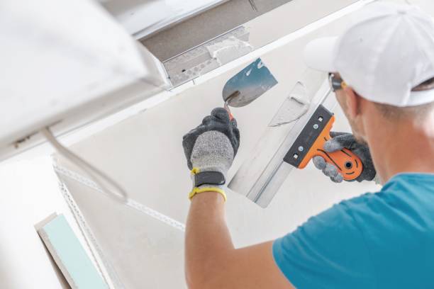 Best Environmental Consulting for Mold Prevention  in Galion, OH